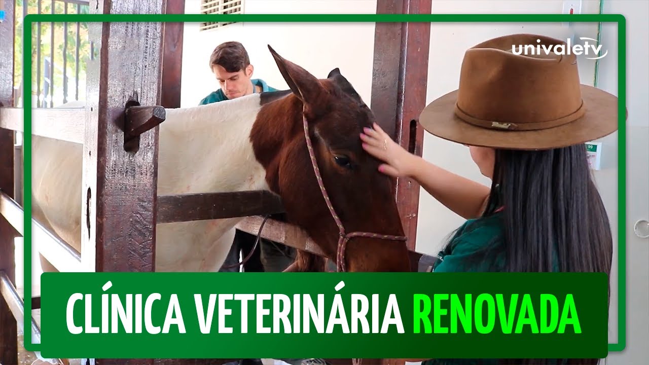 Conheça a clínica veterinária de grande porte da Univale - Univale TV